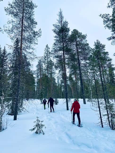 Pyhätunturi: Private Snowshoeing Tour With Local Guide - Who will enjoy this Pyhätunturi outing