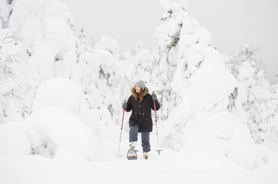 Pyhätunturi: Scenic Snowshoeing Tour in Finnish Lapland - Reindeer and the route back