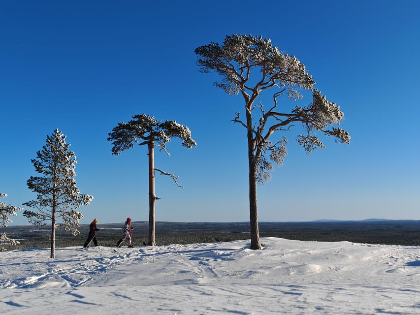 Pyhätunturi: Try Wilderness Skiing in Finnish Lapland - Is $133 a fair price?