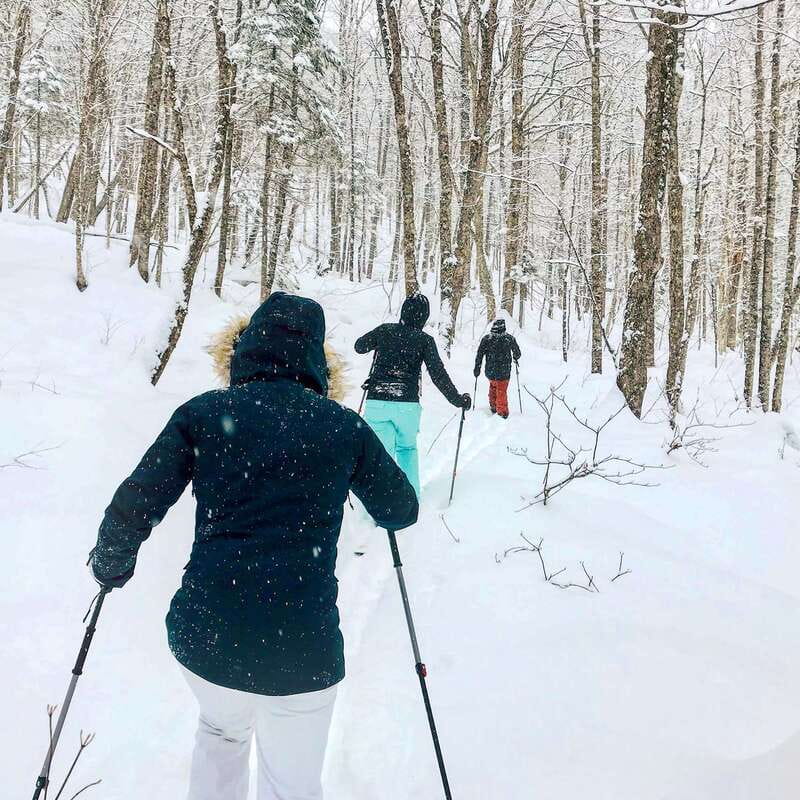 Quebec City: Jacques-Cartier National Park Snowshoeing Tour - Who should book this snowshoeing tour?