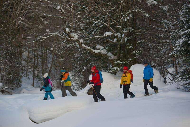 Quebec City: Jacques-Cartier National Park Snowshoeing Tour - What to wear for a Quebec winter trail