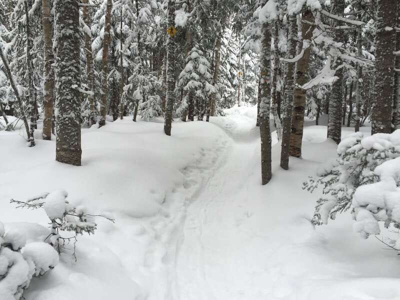 Quebec City: Jacques-Cartier National Park Snowshoeing Tour - A well-organized day with a few trade-offs