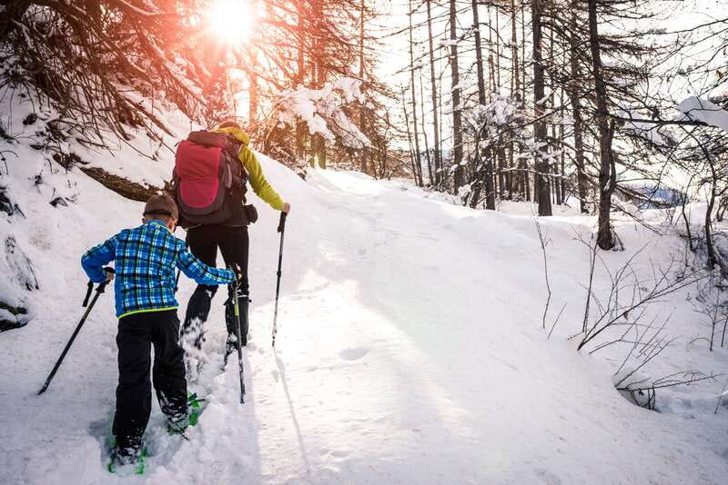 Quebec City: Jacques-Cartier National Park Snowshoeing Tour - Learning to snowshoe before the trail