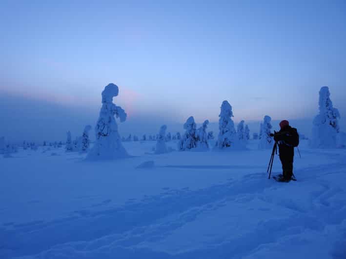 Riisitunturi National Park Snowshoe Experience - Key points at a glance
