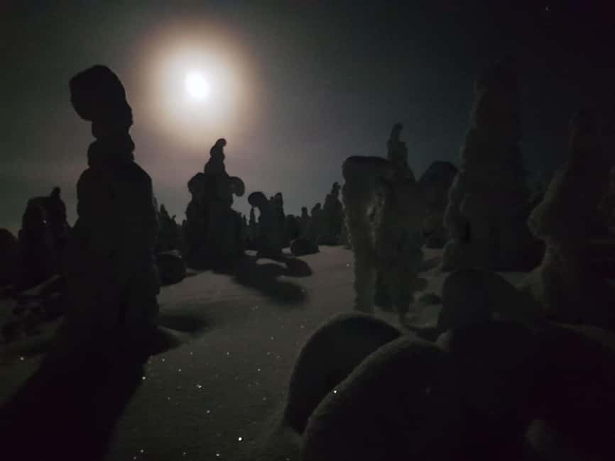 Riisitunturi National Park Snowshoe Experience - Who should book this experience?