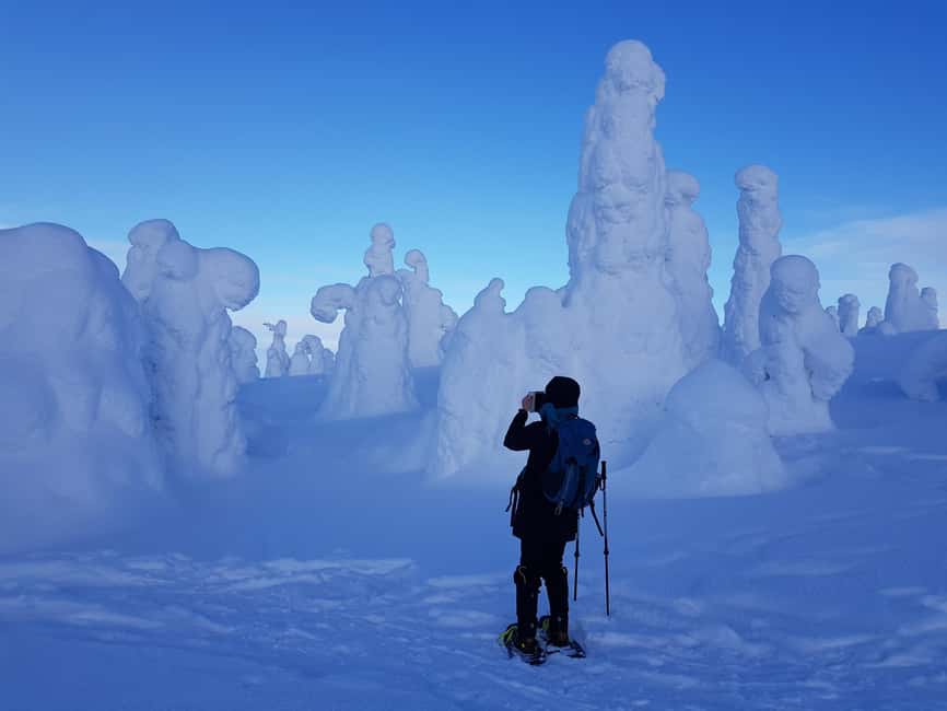 Riisitunturi National Park Snowshoe Experience - Learning to walk on snowshoes