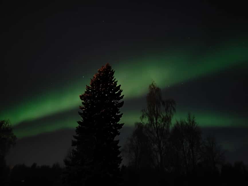 Rovaniemi: Aurora Hunt Snowshoeing Adventure with Guide - Setting out on snowshoes