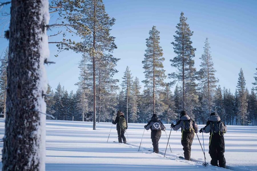 Rovaniemi: Backcountry Skiing Adventure - Key points before you book