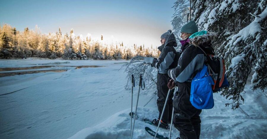 Rovaniemi: Backcountry Skiing Adventure - What the $81 price includes