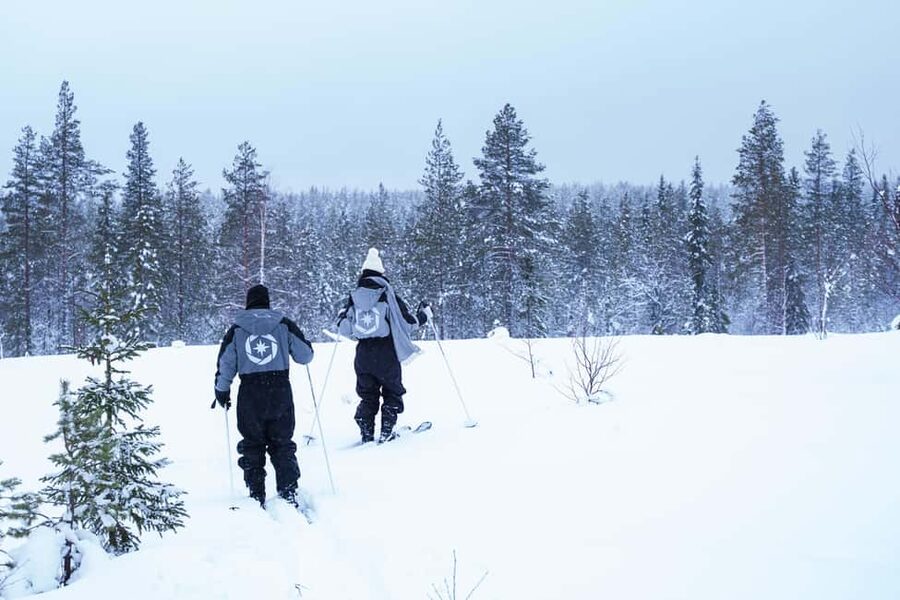 Rovaniemi: Backcountry Skiing Adventure - Who should book this experience?