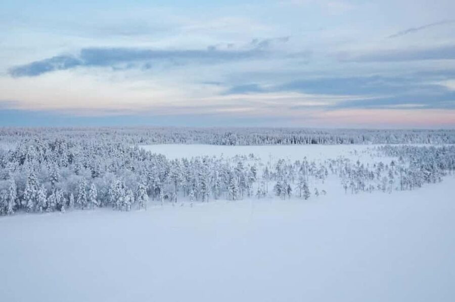 Rovaniemi: Cross-Country Skiing Adventure with Guide - Key points to know before booking