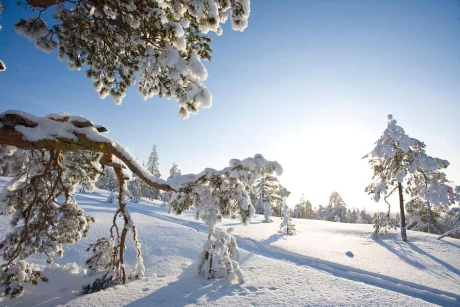 Rovaniemi: Cross-Country Skiing Adventure with Guide - Why this is a good first taste of Finnish skiing