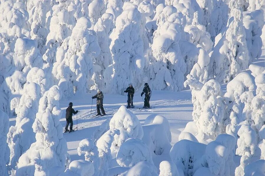 Rovaniemi: Cross Country Wilderness Ski Adventure - Key points to know before booking
