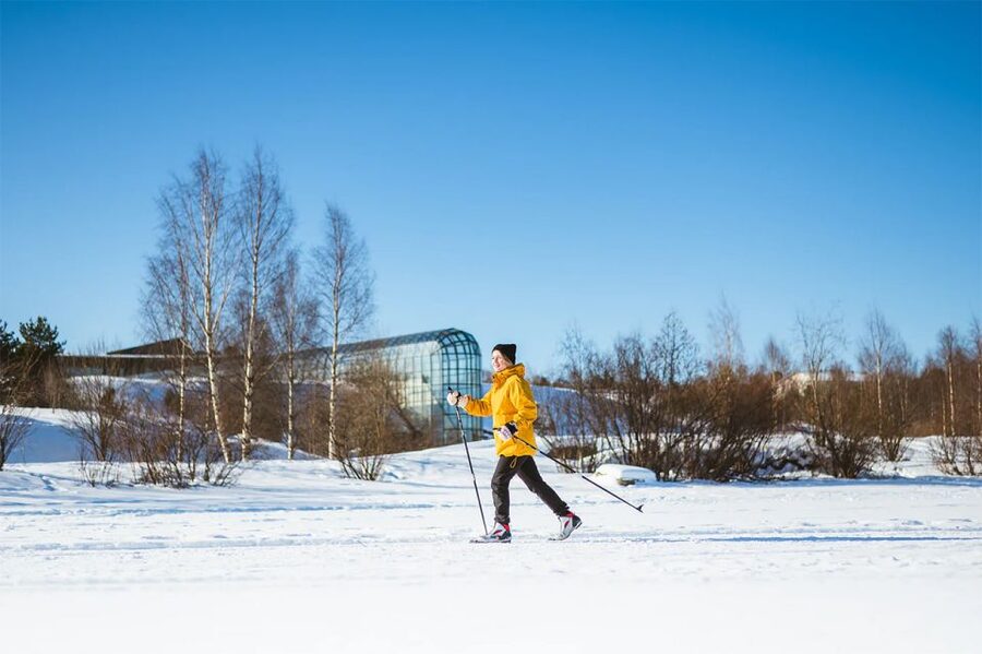 Rovaniemi: Cross Country Wilderness Ski Adventure - What the forest portion really offers