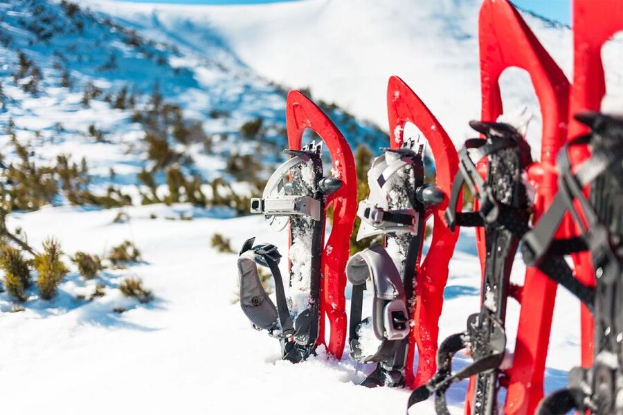 Rovaniemi: Hiking and Snowshoeing Adventure in Lapland - Key points to know before you book