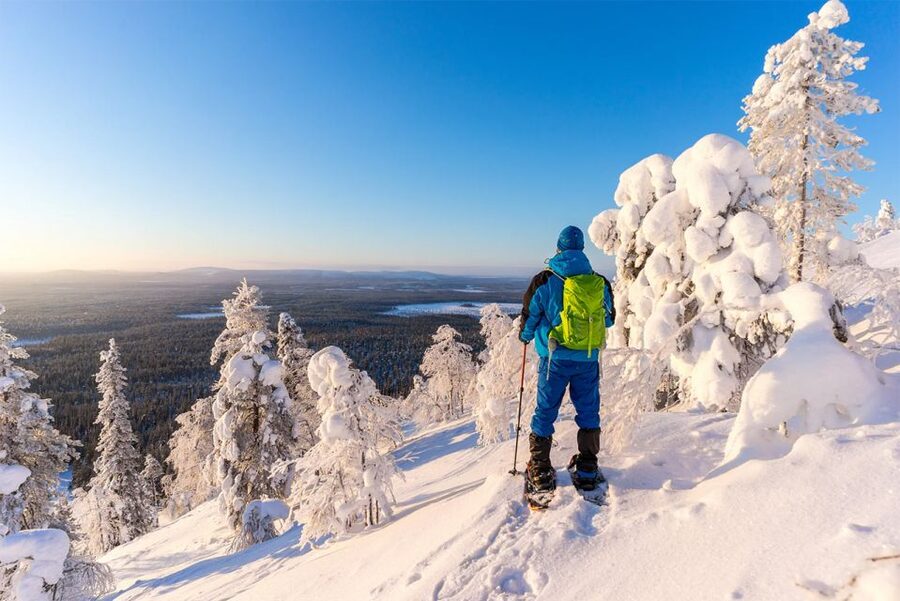 Rovaniemi: Hiking and Snowshoeing Adventure in Lapland - What the three-hour Rovaniemi outing is really like