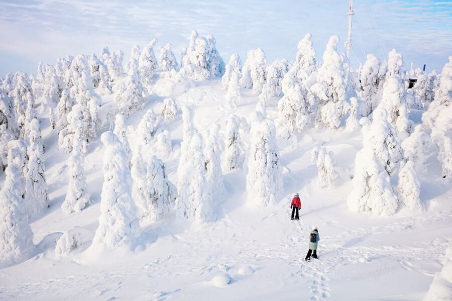 Rovaniemi: Hiking and Snowshoeing Adventure in Lapland - Across the frozen lake and into the trees