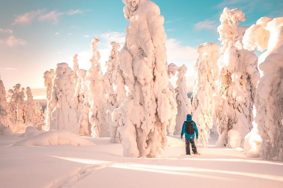 Rovaniemi: Hiking and Snowshoeing Adventure in Lapland - Guides make the difference