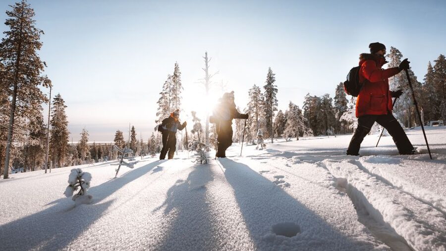 Rovaniemi: Lapland Ski Trekking Safari - Key points to know before you go