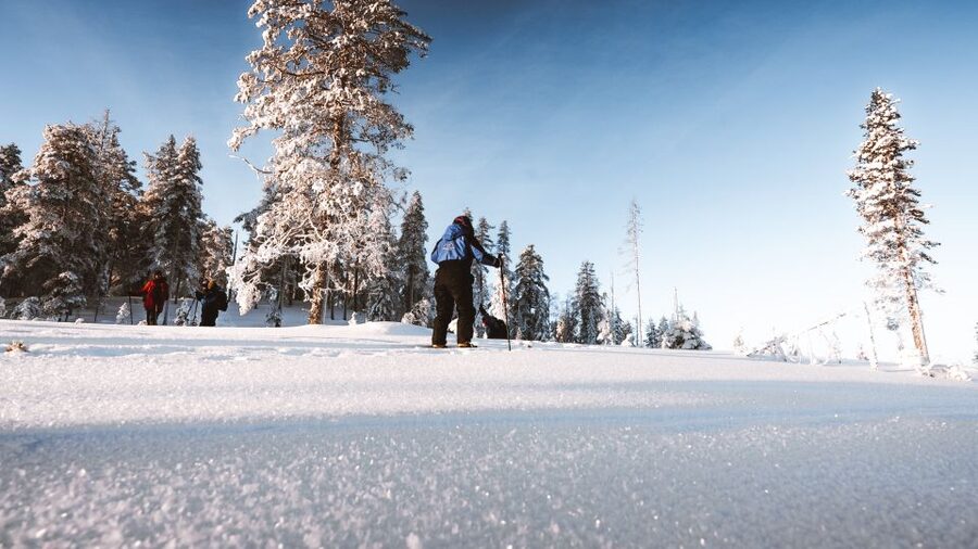 Rovaniemi: Lapland Ski Trekking Safari - What ski trekking in Lapland is really like