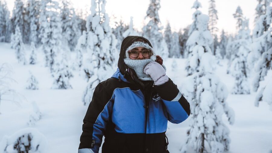 Rovaniemi: Lapland Ski Trekking Safari - Forests, hills, and frozen lakes