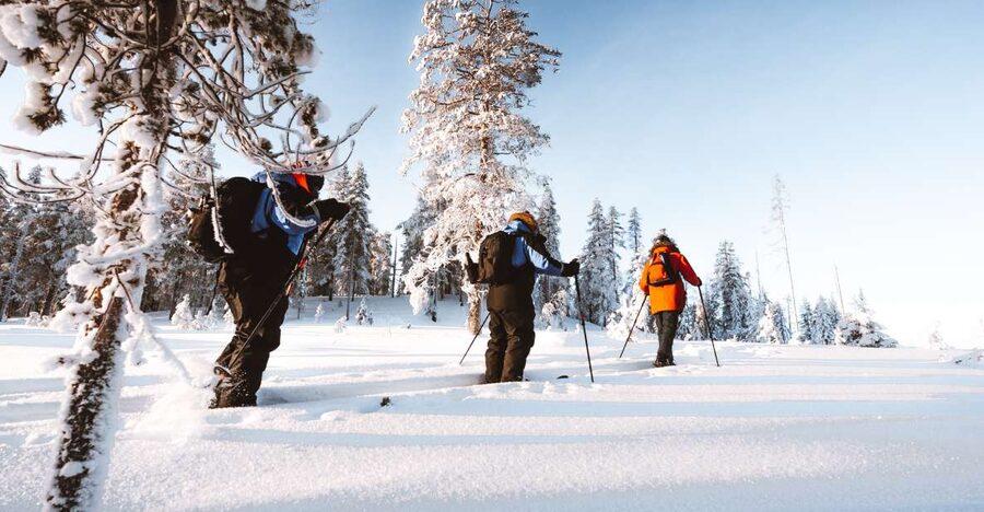 Rovaniemi: Lapland Ski Trekking Safari - The physical challenge for first-time skiers