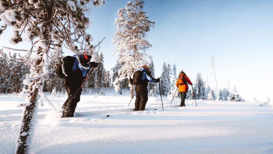 Rovaniemi: Lapland Ski Trekking Safari - Campfire sausages and a Finnish pause