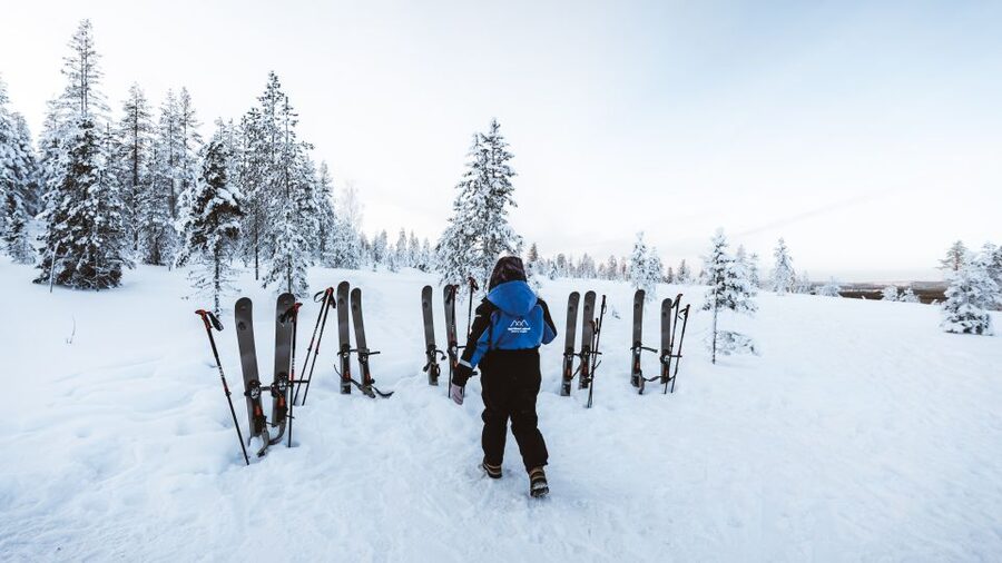Rovaniemi: Lapland Ski Trekking Safari - Value at $128 per person