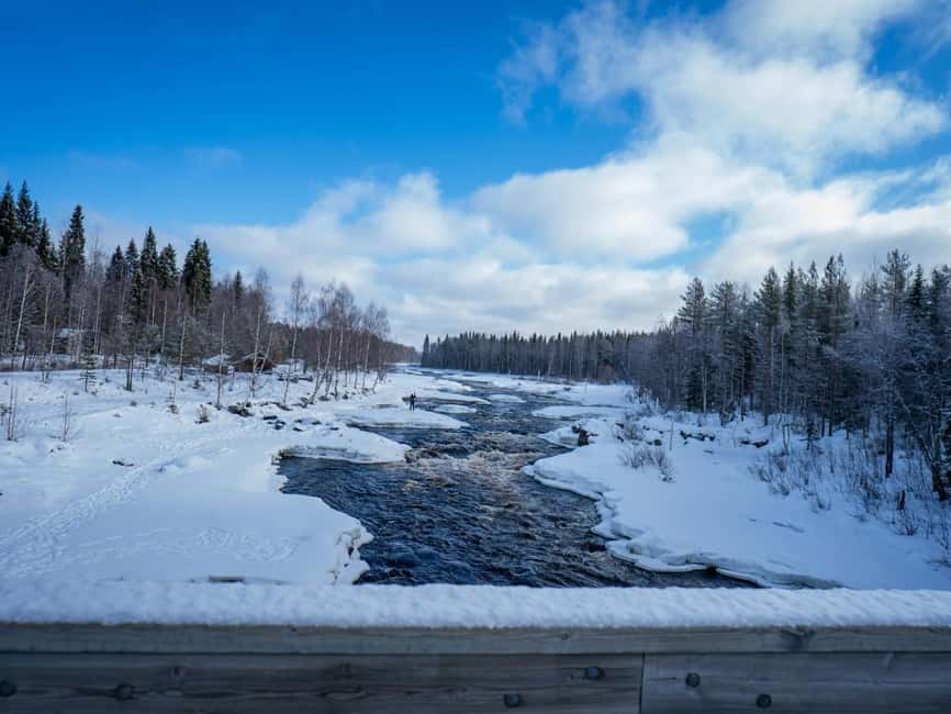 Rovaniemi: Small-Group Snowshoe Tour at Vikaköngäs & BBQ - Walking through forest, snow, and frozen lakes