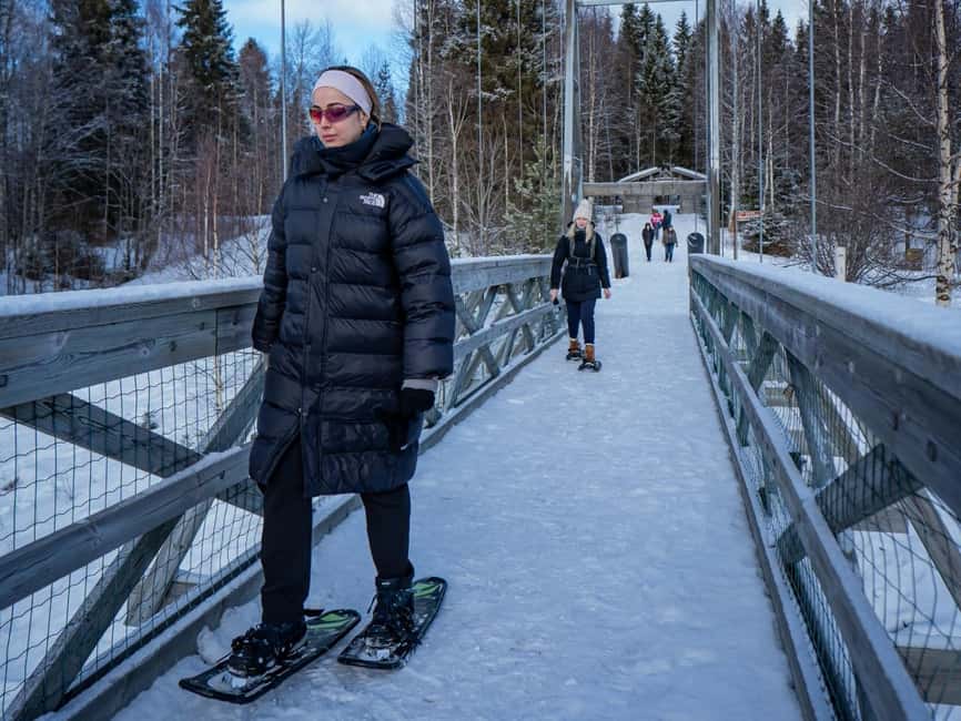 Rovaniemi: Small-Group Snowshoe Tour at Vikaköngäs & BBQ - The observation tower and hilltop views
