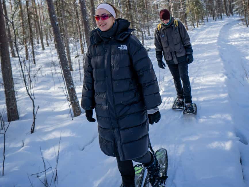 Rovaniemi: Small-Group Snowshoe Tour at Vikaköngäs & BBQ - Is $140 a fair price?