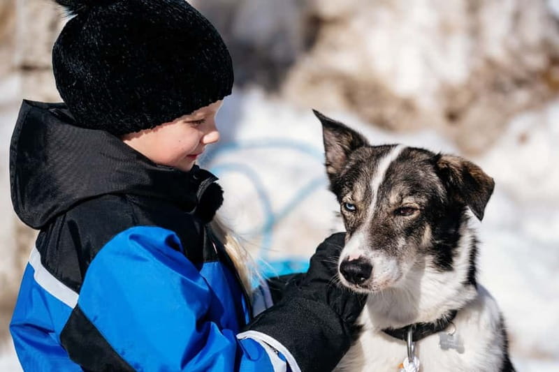 Rovaniemi: Snow Tour with Huskies, Reindeer, & Mini Scooters - Meeting the huskies and taking the 500-meter ride