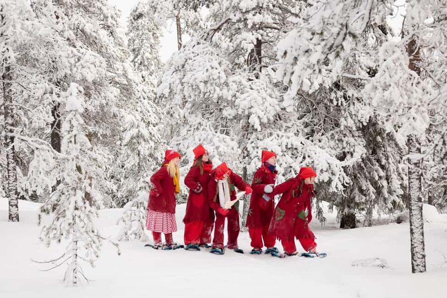 Rovaniemi: Snowshoe walk with Santa's cheerful Elf - Meeting Santa’s Elf in the Arctic forest