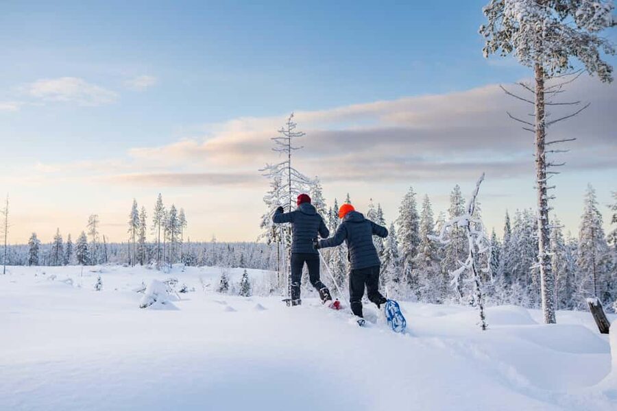 Rovaniemi: Snowshoe Wilderness Adventure with Photos & BBQ - Leaving Rovaniemi for the Arctic woods