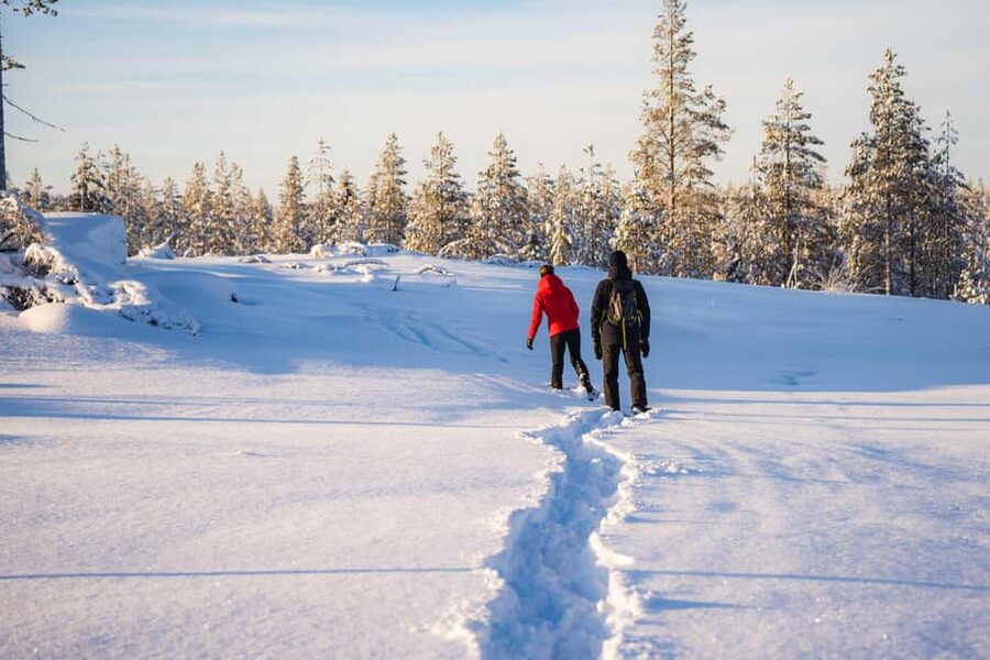 Rovaniemi: Snowshoe Wilderness Adventure with Photos & BBQ - A teepee, campfire, and hot blueberry juice