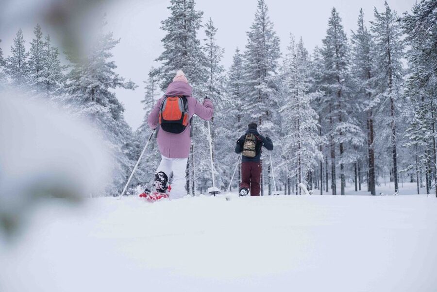 Rovaniemi: Snowshoe Wilderness Adventure with Photos & BBQ - What the $80 price includes