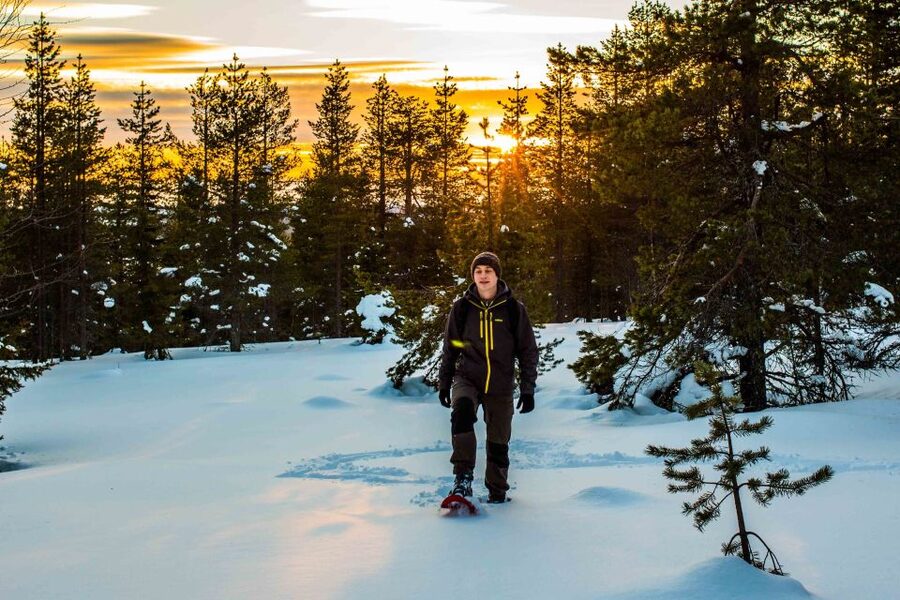 Rovaniemi: Snowshoe Wilderness Adventure with Photos & BBQ - How demanding is the three-hour outing?