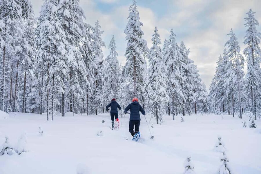 Rovaniemi: Snowshoe Wilderness Adventure with Photos & BBQ - The strongest part is the personal attention
