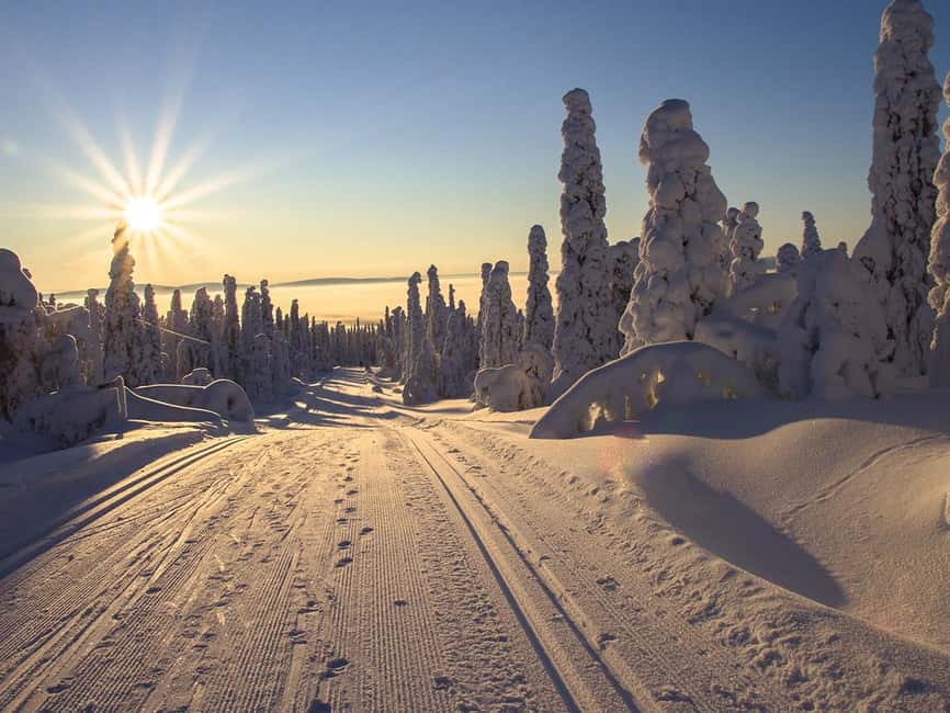 Rovaniemi: Snowshoeing, Ice Fishing and Salmon in Kota - From Rovaniemi to the forest in 30 minutes