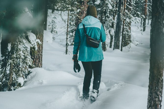 Rovaniemi: Snowshoeing in a magical snowy forest - Key points at a glance