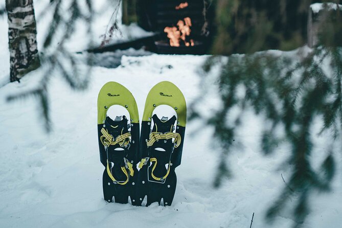 Rovaniemi: Snowshoeing in a magical snowy forest - Snowshoes, forest tracks, and a quiet winter pace