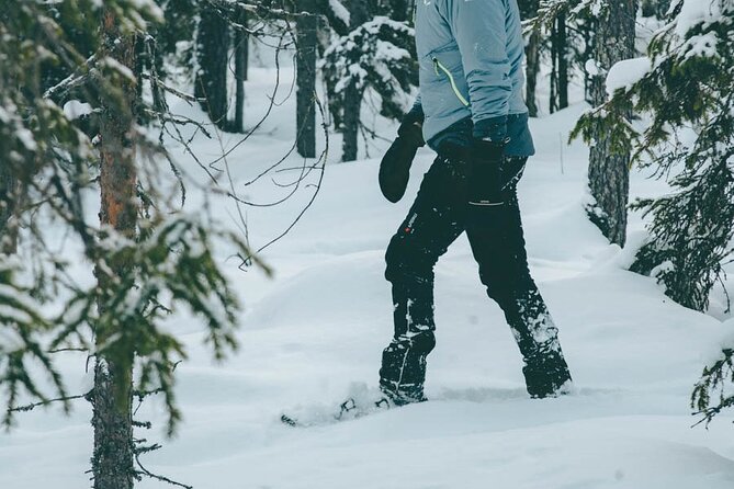 Rovaniemi: Snowshoeing in a magical snowy forest - Photos that save the memory for later