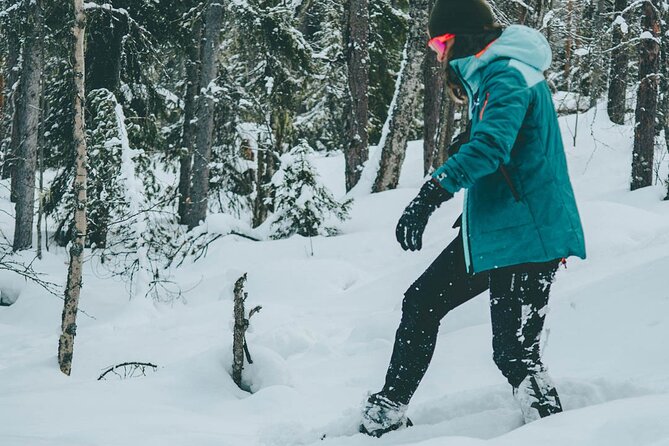 Rovaniemi: Snowshoeing in a magical snowy forest - Booking, weather, and cancellation details