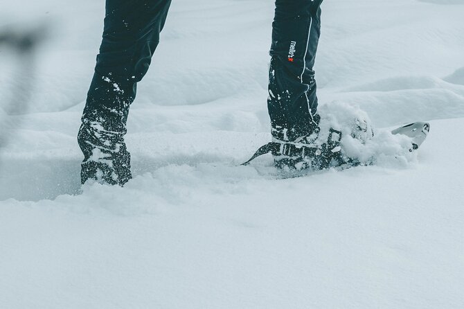 Rovaniemi: Snowshoeing in a magical snowy forest - Aino’s personal touch and the value of a small group