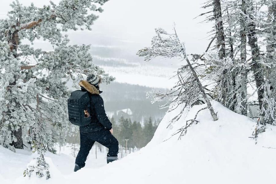 Rovaniemi: Snowshoeing in the Arctic Wilderness - What Happens After Pickup