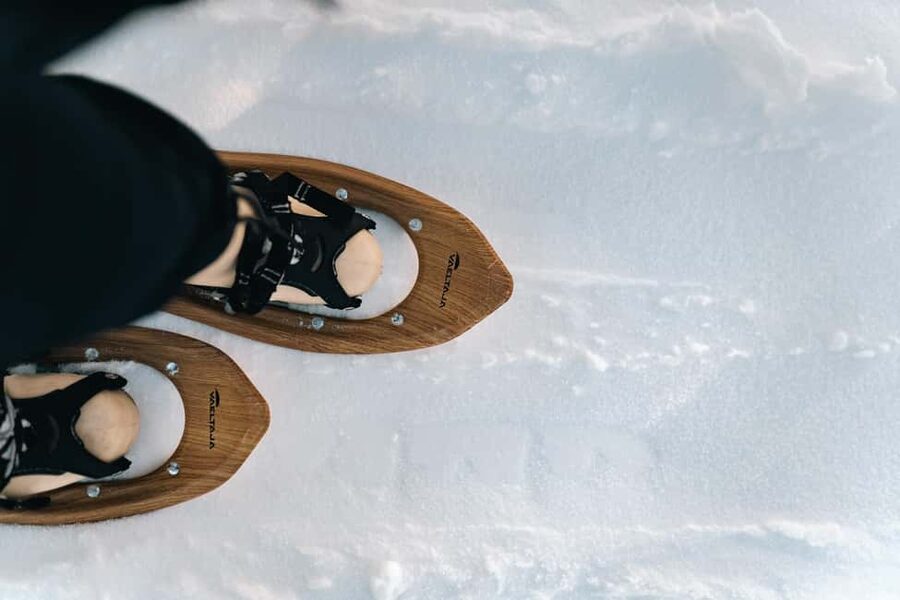 Rovaniemi: Snowshoeing in the Arctic Wilderness - Guides Who Add More Than Directions