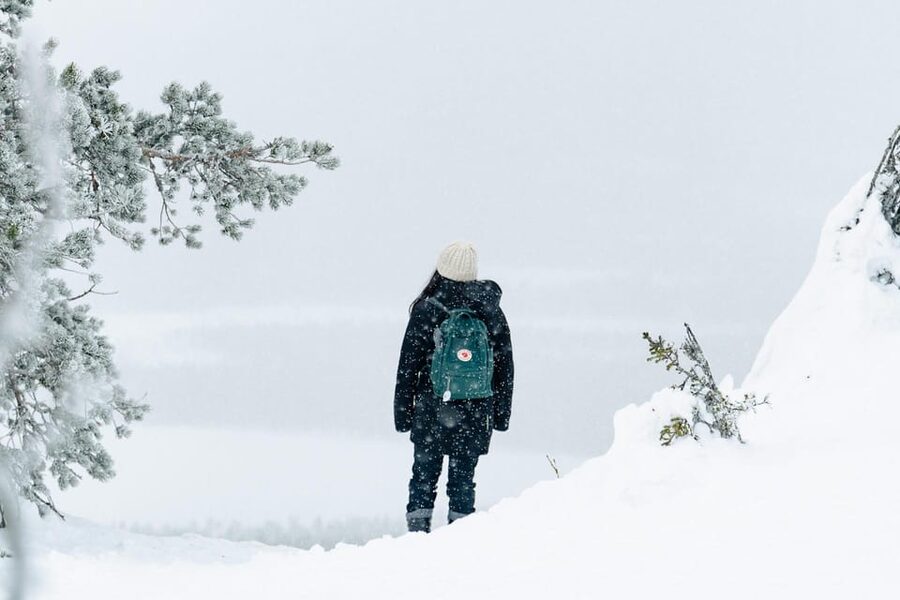 Rovaniemi: Snowshoeing in the Arctic Wilderness - Group Size, Timing, and Weather Limits
