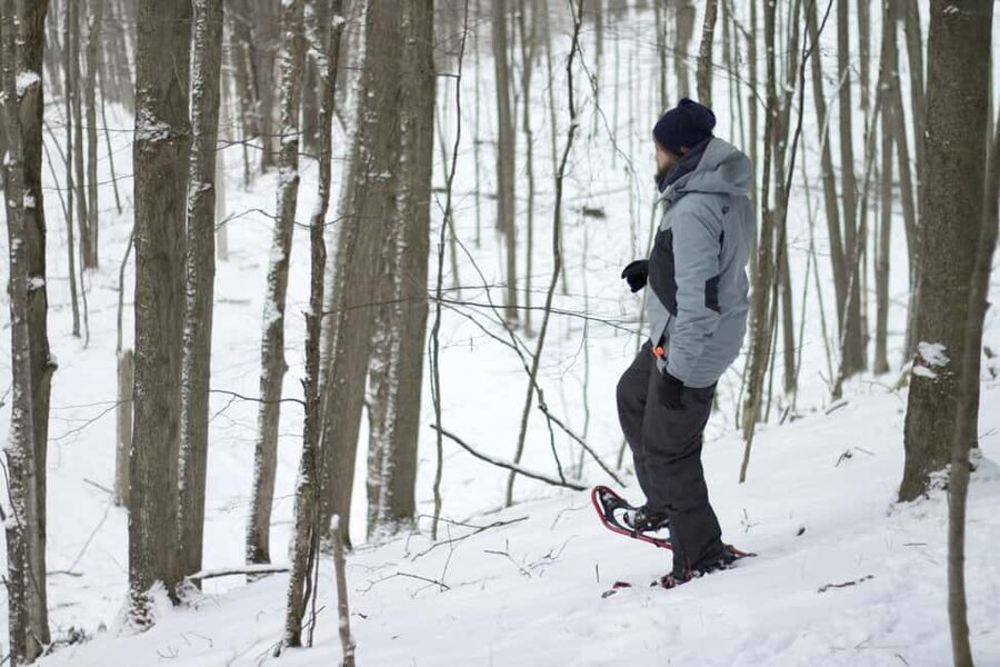 Rovaniemi: Snowshoeing Tour with Wild Lunch and Hotel Pickup - Key points at a glance
