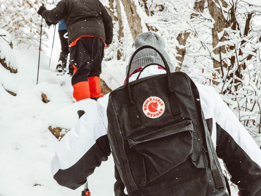 Rovaniemi: Snowshoeing Tour with Wild Lunch and Hotel Pickup - Why the three-hour timing works