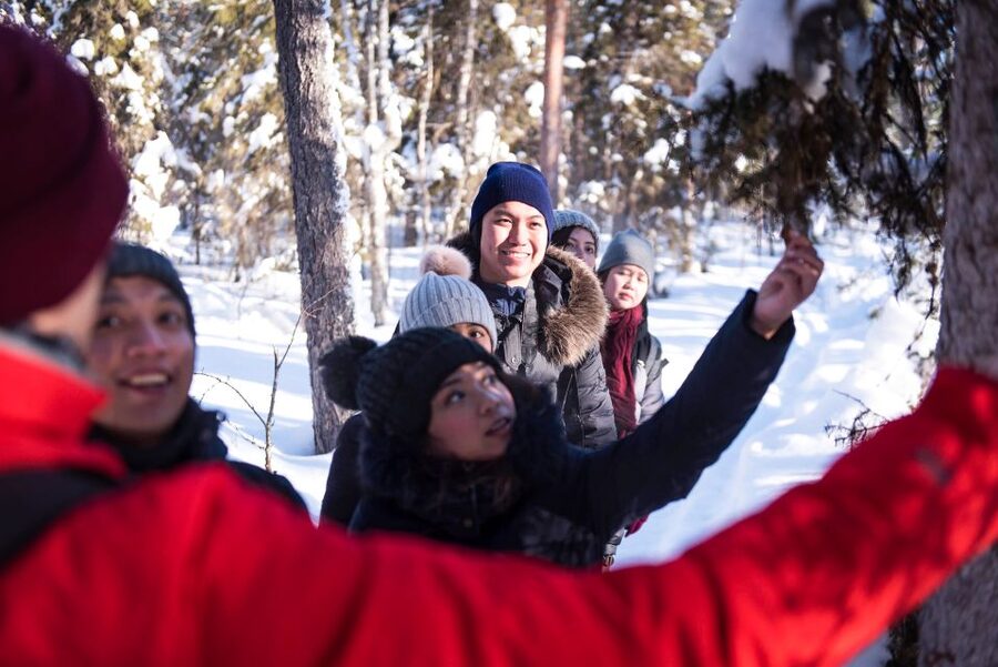 Rovaniemi: Winter Wilderness Snowshoeing Trip - Forests, frozen swamps, and open lakes